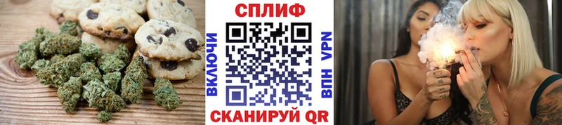 как найти   MEGA ТОР  Cannafood конопля  Струнино 