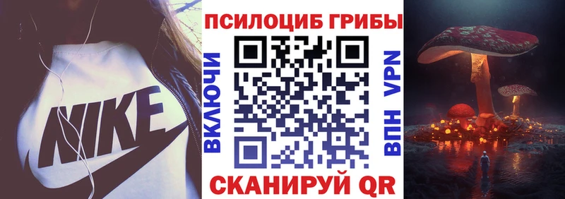 наркотики  Струнино  Псилоцибиновые грибы мицелий 